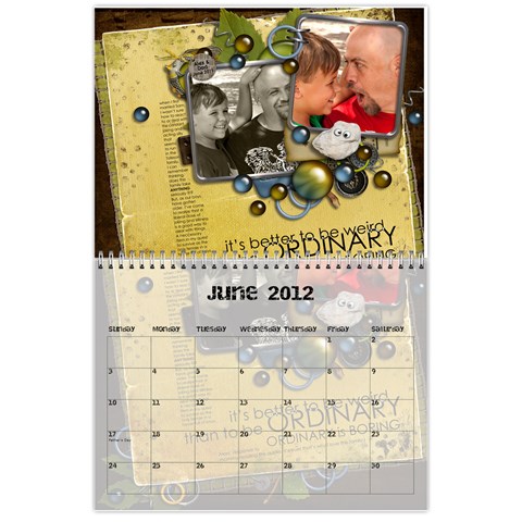 2012 Calendar By Carola Tolleson Jun 2012