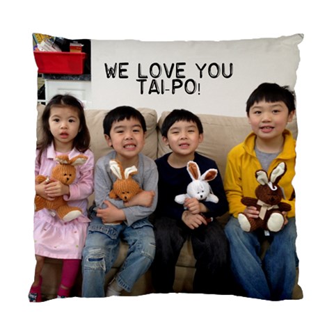 Tai Po Pillow By Sue Front