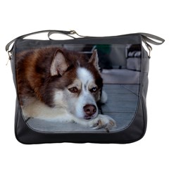 Messenger Bag - Siberian Husky (2)