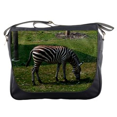 Messenger Bag - Zebra