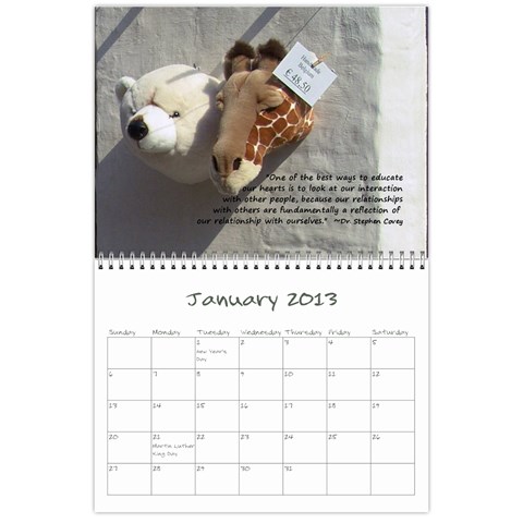 2013 Sam Fisher 18 Month Calendar By Alina Waring Jan 2013