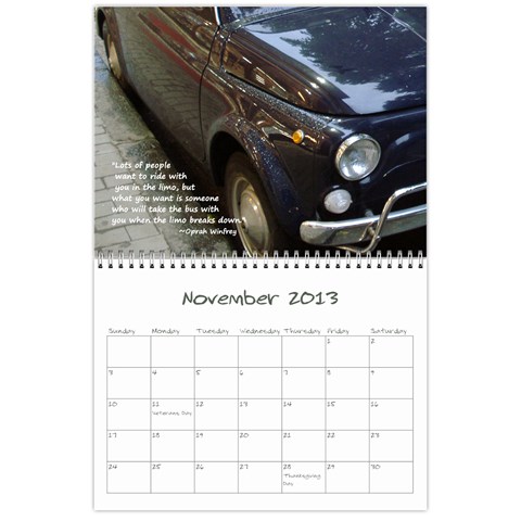 2013 Sam Fisher 18 Month Calendar By Alina Waring Nov 2013