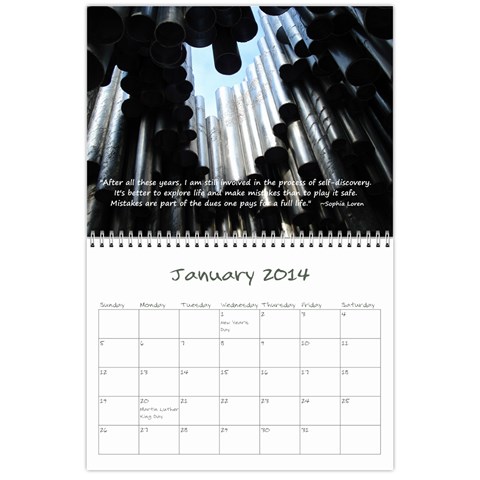 2013 Sam Fisher 18 Month Calendar By Alina Waring Jan 2014