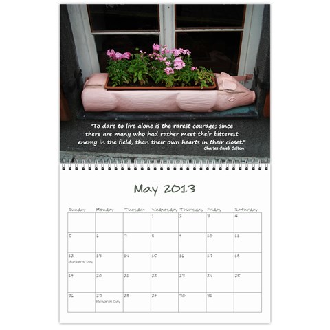 2013 Sam Fisher 18 Month Calendar By Alina Waring May 2013