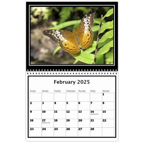 My Perfect Wall Calendar 11x8 5 2024 By Deborah Feb 2024