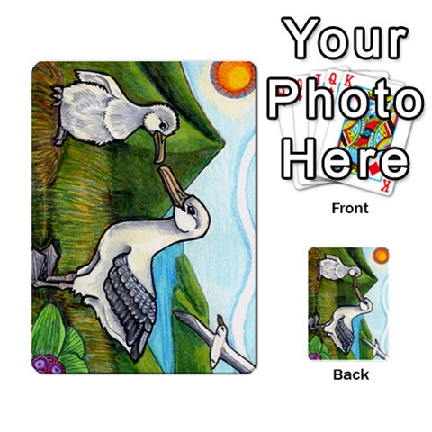 New Zealand Naturally Collectible Cards 1 By Angela Front 7