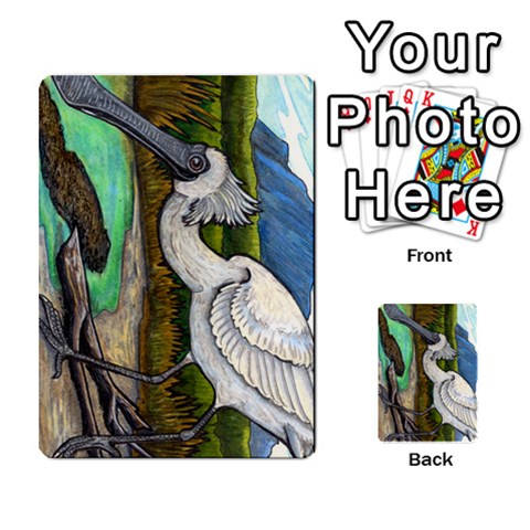 New Zealand Naturally Collectible Cards 1 By Angela Front 13
