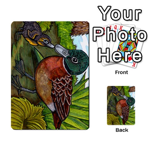 New Zealand Naturally Collectible Cards 1 By Angela Front 16
