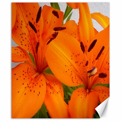 Orange Flower Pearl 1 By Lou 19.57 x23.15  Canvas - 1