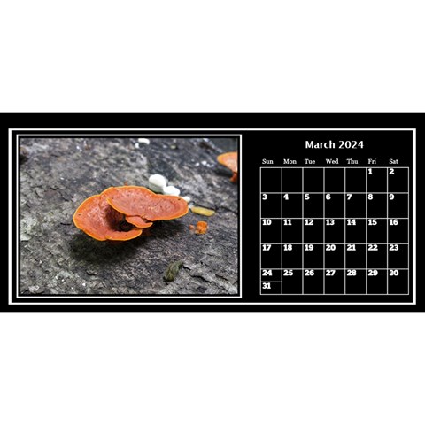 My Perfect Desktop Calendar 11x5 By Deborah Mar 2024