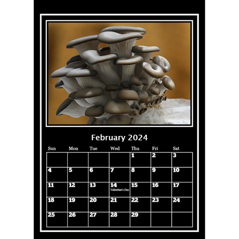 My Perfect Desktop Calendar (6x8 5) By Deborah Feb 2024
