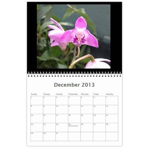 206  Noelas Orchid Calendars By Danielle Willis Dec 2013
