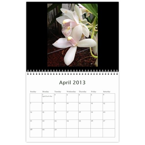 206  Noelas Orchid Calendars By Danielle Willis Apr 2013