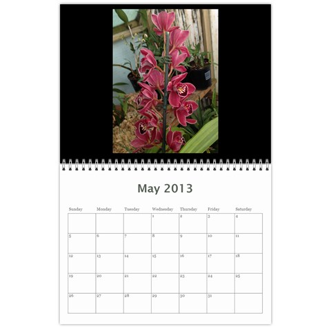 206  Noelas Orchid Calendars By Danielle Willis May 2013