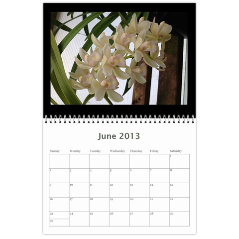 206  Noelas Orchid Calendars By Danielle Willis Jun 2013