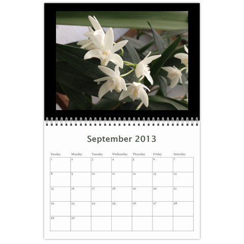 206  Noelas Orchid Calendars By Danielle Willis Sep 2013