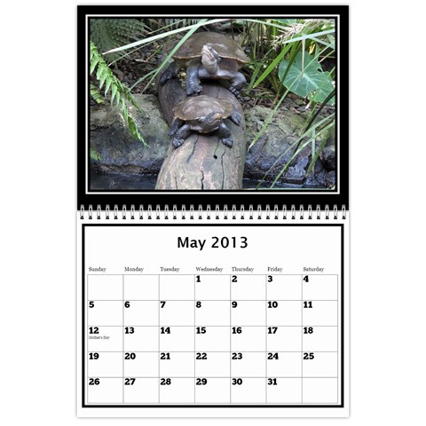 Pops Calendar By Deborah May 2013