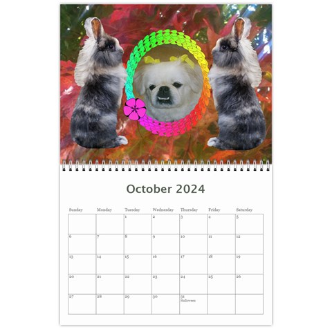 2024 Animal Calendar 2 By Kim Blair Oct 2024