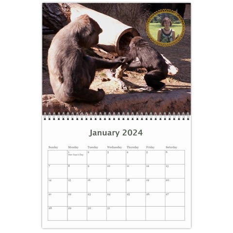 Animal Calendar 2024 By Kim Blair Jan 2024