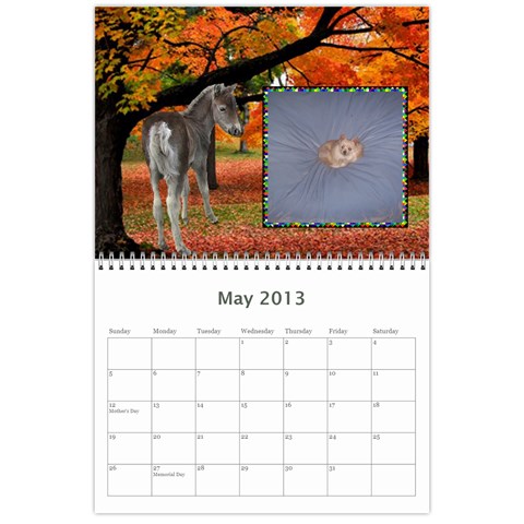 Animal Calendar By Maryanne May 2013