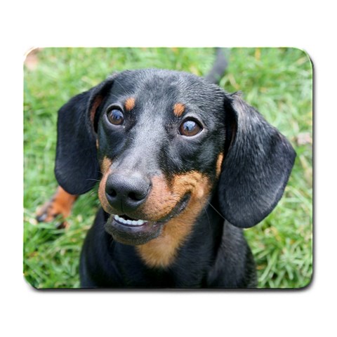 Eddy Mousepad By Tammy Front