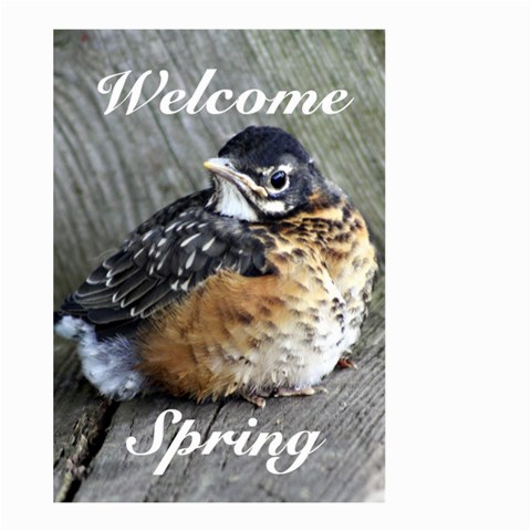 Spring Bird By Patricia W Front