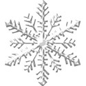 snowflake5