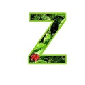 z