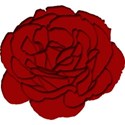 rose1