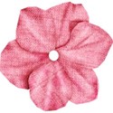 cc-Pink!-Flower01