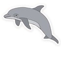 dolphin sticker
