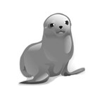 seal