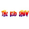 the bird show