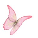 moo_lttlecindrs_butterfly1