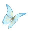 moo_lttlecindrs_butterfly3