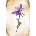 LHank_Passthecards_flowercard1
