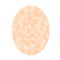 CammoEgg