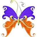 A s butterfly orangeANDblue
