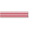 ribbon stripe 2