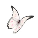 BD-Pink Lady- Pretty Butterfly2