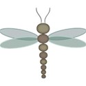 bos_ct_dragonfly02