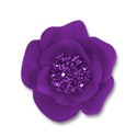 purple flower copy