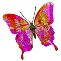 Paper Butterflys - 02