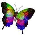 Paper Butterflys - 06