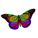Paper Butterflys - 10
