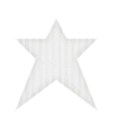 jss_toilandtrouble_star 2 white