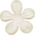 jss_applelicious_flower 1 white