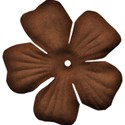 jss_applelicious_flower 2 brown