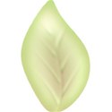 jThompson_melon_leaf1