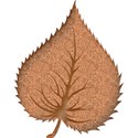 leaf2a